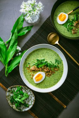 Yabani sarımsak çorbası, ayı pırasa çorbası (ramson çorbası) ve haşlanmış yumurta.