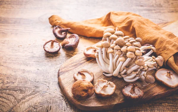 Raw Brown Shimeji Mushrooms Shiitake Cutting Board Edible Mushrooms — Stock Photo, Image