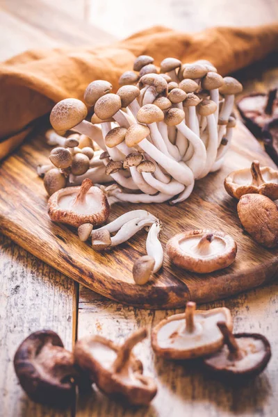 Raw Brown Shimeji Mushrooms Shiitake Cutting Board Edible Mushrooms — Stock Photo, Image