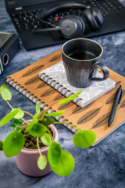 Working Home Desk Office Laptop Notepad Coffee Cup Headphones Plant — Stock Photo, Image
