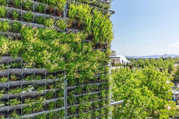 Vertical gardening. Artificial vertical green garden decoration on the wall.