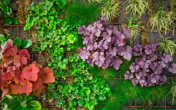 Mesterséges Függőleges Zöld Kerti Dekoráció Falon Függőleges Kertészkedés — Stock Fotó