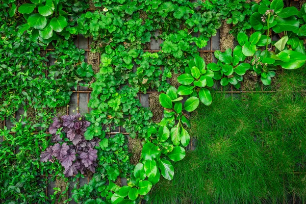 Décoration Verticale Artificielle Jardin Vert Sur Mur Jardinage Vertical — Photo