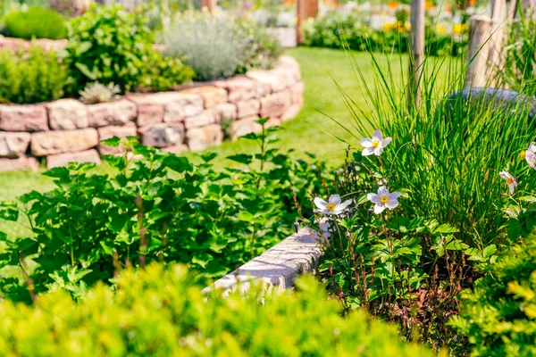 잔디와 텃밭을 벽돌로 나선형의 꽃받침 — 스톡 사진