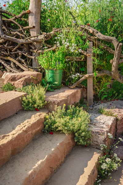 Φυτεμένες Σκάλες Κήπου Φυσικό Κήπο Αυτόχθονα Φυτά Φυσικές Πέτρες Driftwood — Φωτογραφία Αρχείου