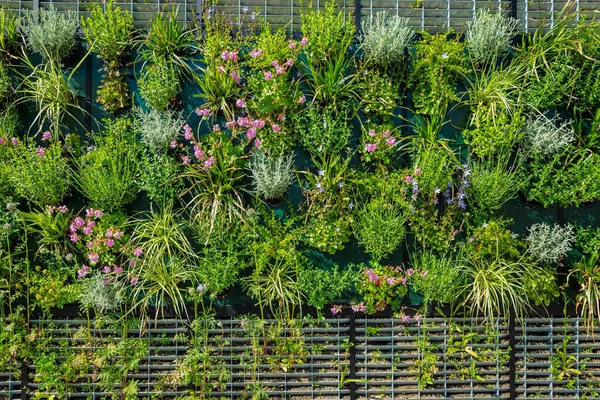 垂直園芸 壁に人工的な垂直緑の庭の装飾 — ストック写真