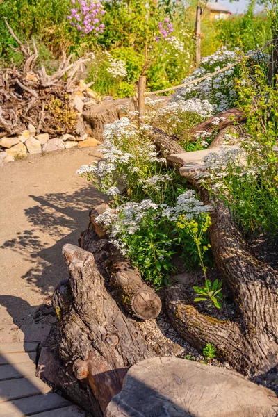 天然花园 有土生土长的植物 灌木墙和砾石小路 — 图库照片