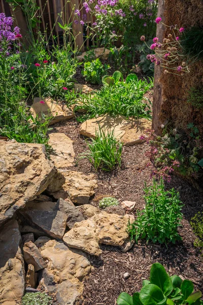 Hermoso Jardín Natural Ajardinado Con Plantas Suculentas Rocas Piedras — Foto de Stock
