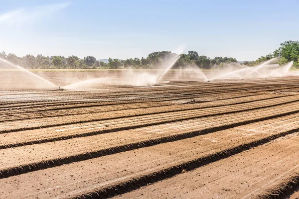 Irrigation System Large Farm Field — Stock Photo, Image