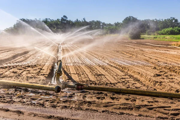 Sistema Irrigazione Grande Campo Agricolo — Foto Stock
