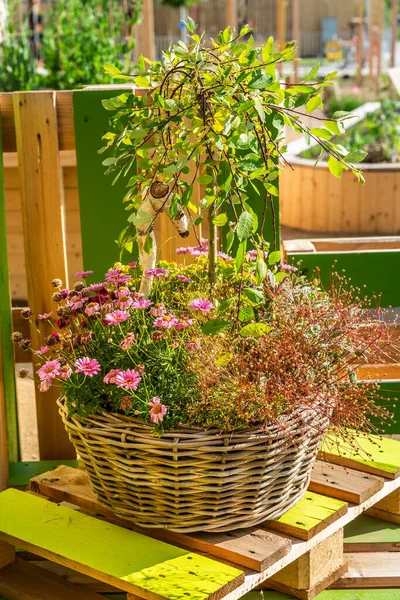 Hermosa Cesta Maceta Para Jardín Patio Terraza Con Diferentes Flores — Foto de Stock
