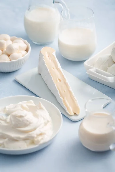 Sortiment Mléčných Výrobků Podmáslí Kefír Jogurt Probiotiky Ayran Sýr Mozzarella — Stock fotografie
