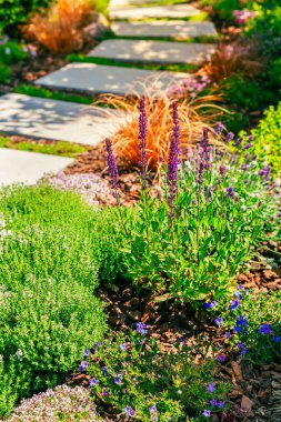 Bahçe yolunun detaylarını kabuklu taş levhalar ve yerel bitkilerle. Bahçe düzenleme ve bahçe düzenleme konsepti.