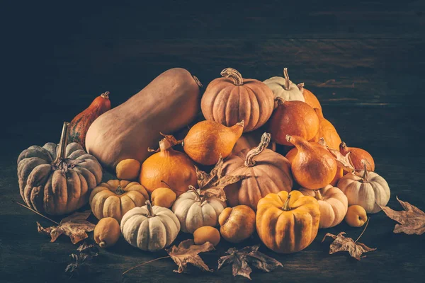 Erntedank Und Herbst Hintergrunddekoration Mit Verschiedenen Kürbissen Und Getrockneten Blättern — Stockfoto