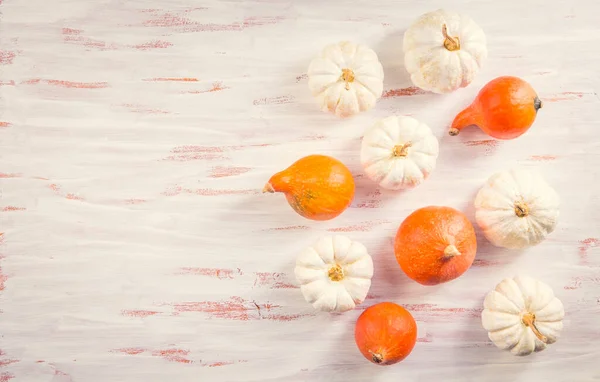Fehér Narancs Tök Háttéren Hálaadás Őszi Koncepció — Stock Fotó
