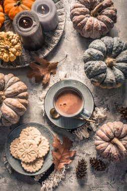 Chai çikolatası ya da çay kurabiyeli sıcak kakao, Şükran Günü kahvaltısı için balkabağı. Samimi sonbahar durgun hayat, hygge.