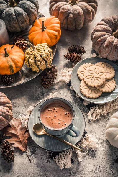 Chocolate Chai Cacao Caliente Con Galletas Chai Calabazas Para Desayuno — Foto de Stock