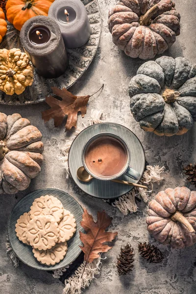 Chai Chocolate Hot Cacao Chai Cookies Pumpkins Thanksgiving Breakfast Cozy — Stock Photo, Image