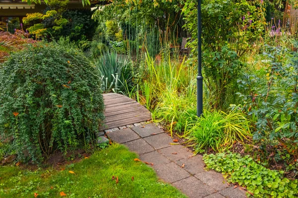 Garden with green plants and small path, gardening concept