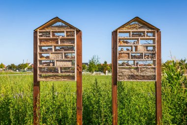 Tarlada iki tahta böcek evi oteli, biyolojik çeşitlilik.