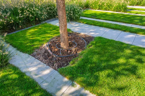Building Automatic Watering Tree Garden Park Lawn Tree Care — Stock Photo, Image