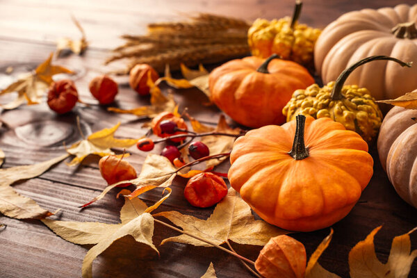 Autumn still life with pumpkins and leaves on wooden background. Thanksgiving home decoration.