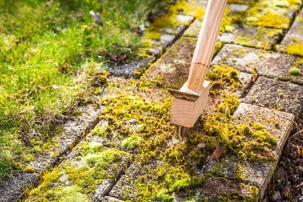 Removing Scratching Moss Out Paving Stones Cleaning Terrace Patio — Stock Photo, Image