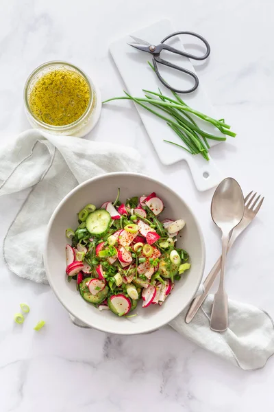 Healthy Radish Cucumber Salad Dressing Green Onions — Stock Photo, Image