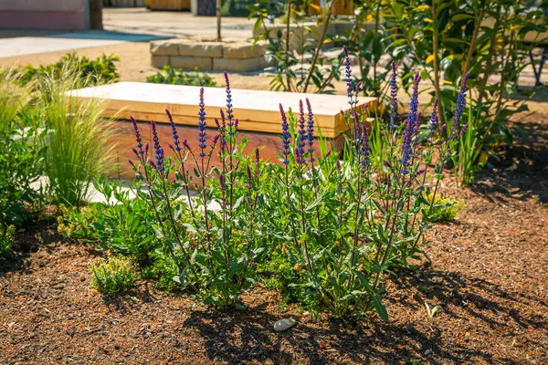 Nová Moderní Lavice Posezení Terase Zahradě Nebo Terase Rostlinami Stock Snímky