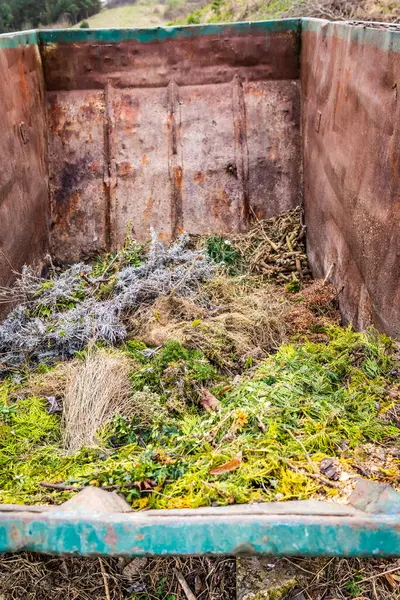 Stock image Large container with green waste in public park, recycling or plants, composting