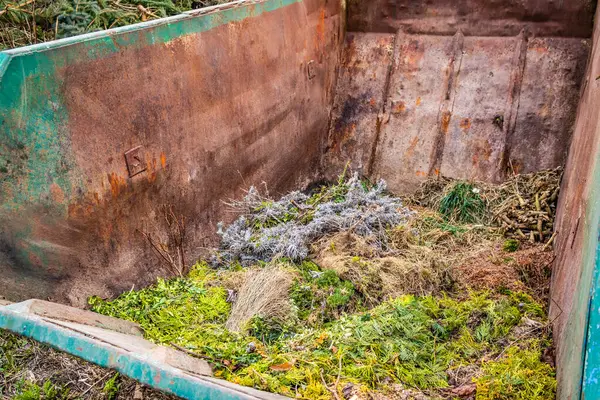 stock image Large container with green waste in public park, recycling or plants, composting