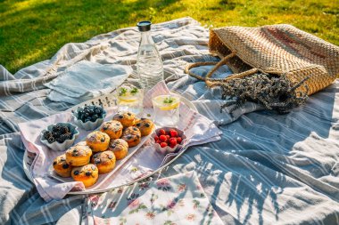 Ev yapımı kek, limonata ve böğürtlenli parkta piknik.