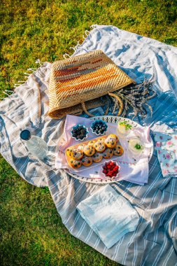 Ev yapımı kek, limonata ve böğürtlenli parkta piknik.