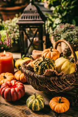 Güzel sonbahar terası ve balkabaklarıyla, feneriyle, bitkileriyle ve çiçekleriyle teras dekorasyonu