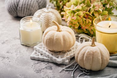 Şükran Günü ve Cadılar Bayramı için mutfak masasında çeşitli balkabaklarıyla hayat