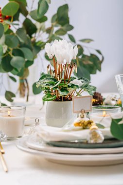 Noel için okaliptüs dallarıyla süslenmiş geleneksel festival yeri