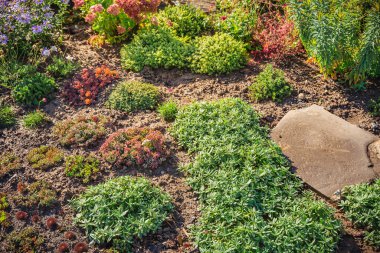 Arka bahçesinde muhteşem peyzaj, veranda, kuraklığa dayanıklı bitkiler, sulu bir bahçe.