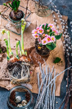Bahar baharı baharı, çiçek açan bitkilerin bahar havası hazırlama masa dekorasyonu.