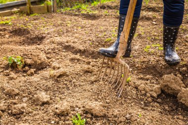 Toprağı bahçe çatalıyla kazmak ekime hazır toprağı işlemek, baharda baharda bahçe işlemek.