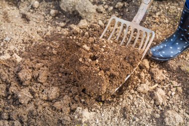 Toprağı bahçe çatalıyla kazmak ekime hazır toprağı işlemek, baharda baharda bahçe işlemek.