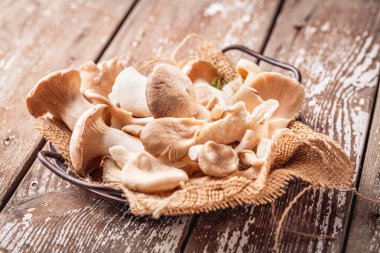 Ahşap arka planda yenilebilir mantar çeşitleri. Shiitake, Champignon, Porcini ve İstiridye Mantarı