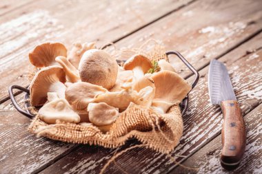 Ahşap arka planda yenilebilir mantar çeşitleri. Shiitake, Champignon, Porcini ve İstiridye Mantarı