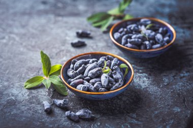 Mavi arka planda bir kasede hanımeli meyvesi (Lonicera caerulea)