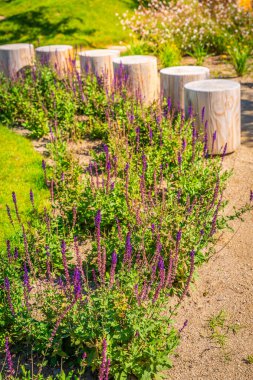 Parkın rahat oturma alanı, bahçe ya da veranda doğal ahşap kütüklerden yapılır.