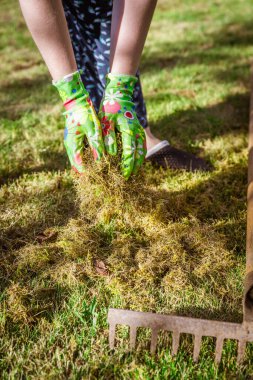 Çimleri tırmıkla temizliyorum. Bahçedeki çimleri havalandırmak ve süslemek. Eski otları ve yosunları temizleyerek çimlerin kalitesini arttırmak..