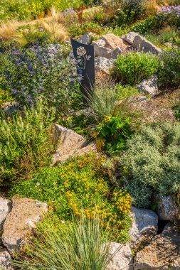 Arka bahçesi muhteşem peyzaj, veranda, kuraklığa dayanıklı bitkiler.