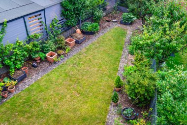 Ağaçların, çalıların, saksıların, küçük patikaların ve çimlerin olduğu arka bahçe manzarası.