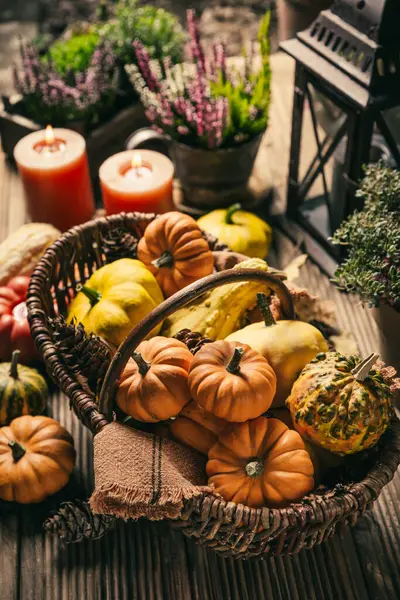 Sonbahar terası ve balkabakları, fener, bitkiler ve çiçeklerle teras dekorasyonu