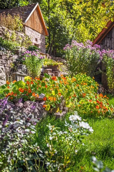 Çeşit çeşit bitkileri, çiçekleri, çimleri ve taş bahçesi olan kırsal bir bahçe.