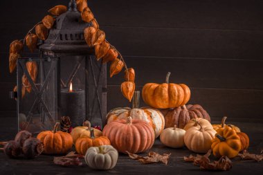 Balkabaklarıyla ve klasik feneriyle sakin bir hayat sonbahar renkleriyle Şükran Günü düzenlemesi.